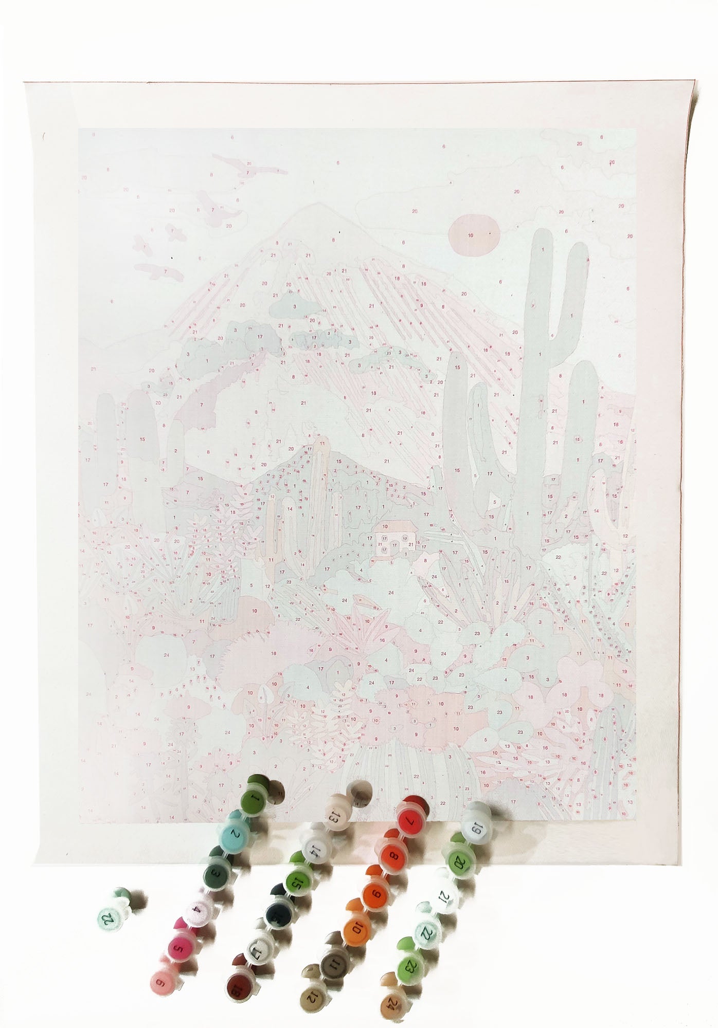 Paint By Numbers kit - Cactus Mountain